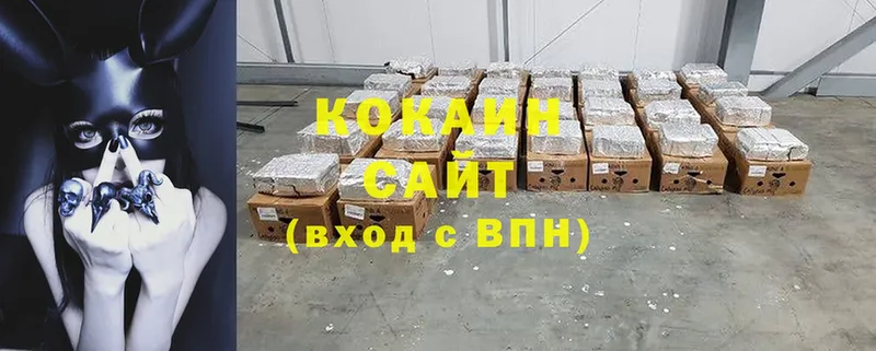 COCAIN FishScale  гидра сайт  Северодвинск  купить закладку 